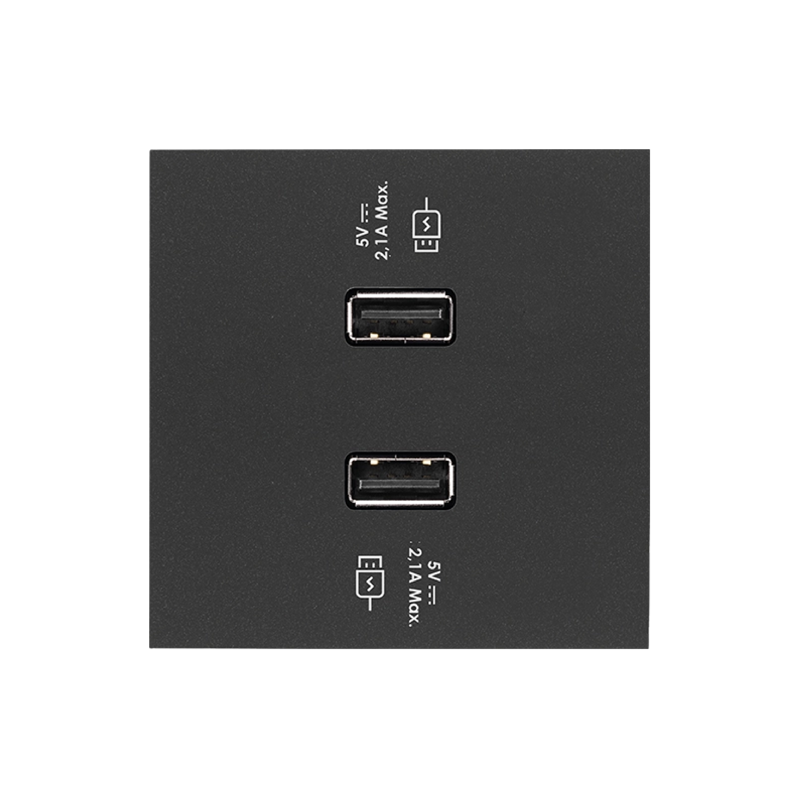 Simon 100 Черный матовый Накладка для 2-х зарядных устройств USB SmartCharge фото