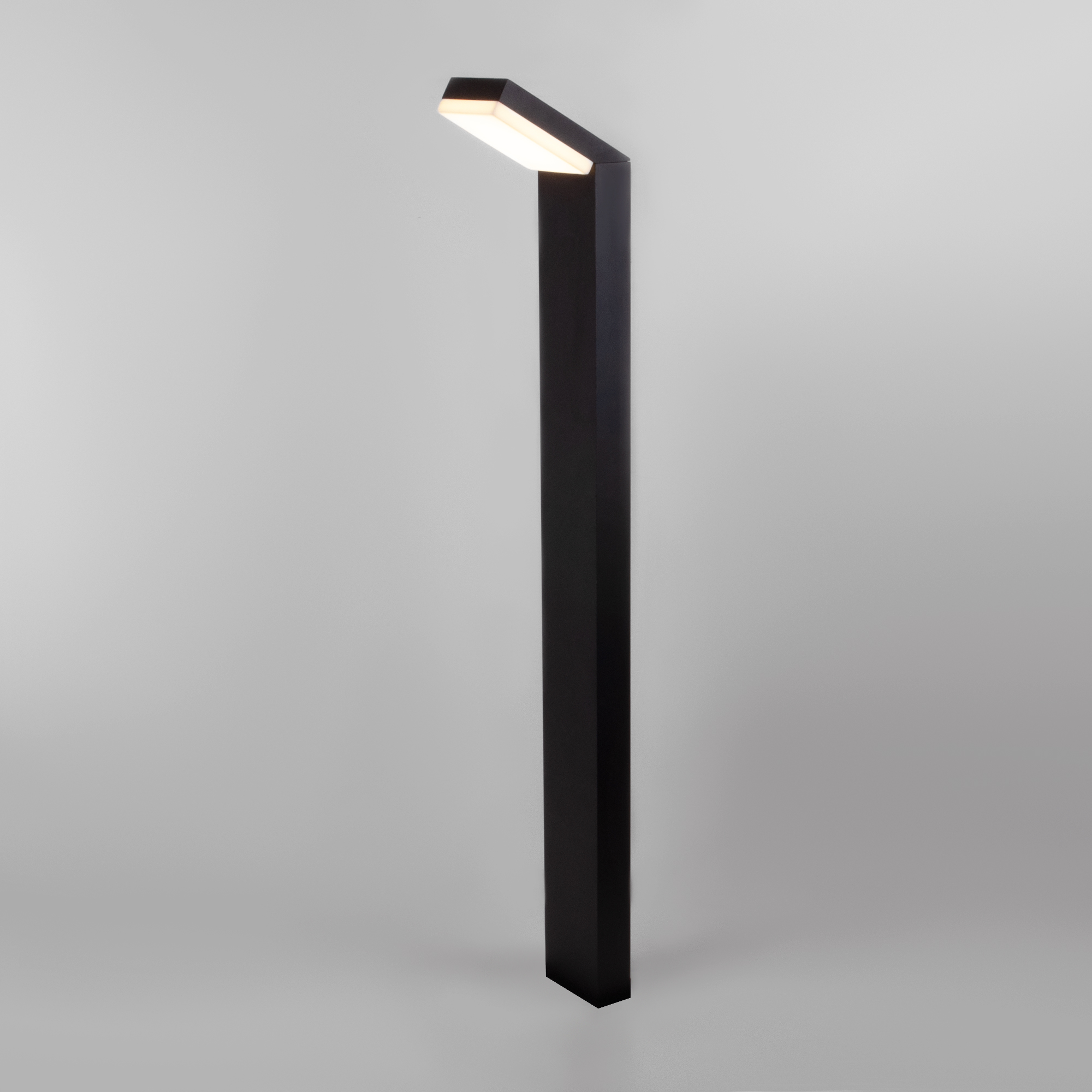 Elektrostandard 1542 TECHNO LED / Светильник садово-парковый со светодиодами чёрный фото