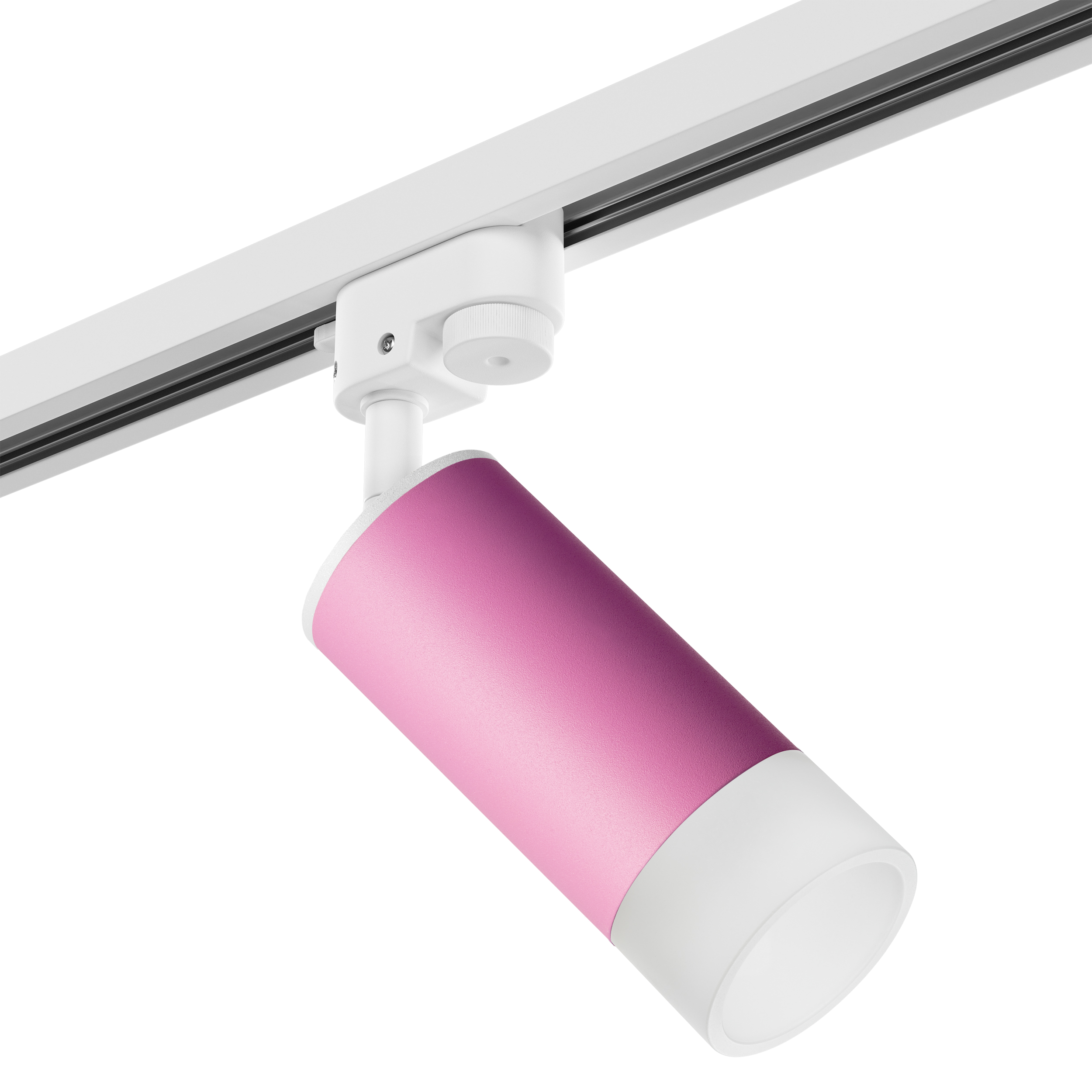 Lightstar Комплект со светильником Rullo Rullo Lightstar R1T43231 фото