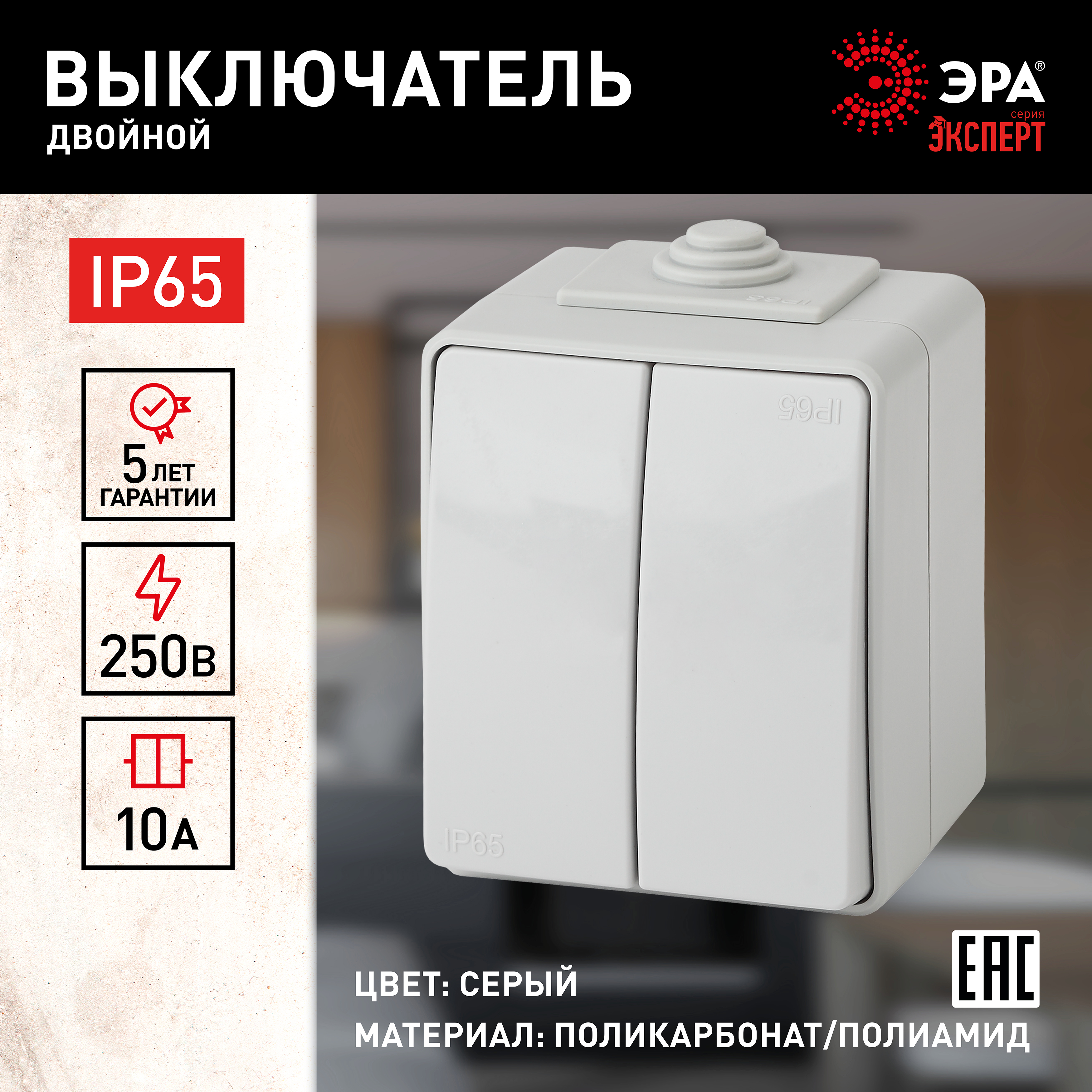 ЭРА Выключатель Эксперт 11-1604-03 двойной IP65 10АХ-250В ОУ серый фото
