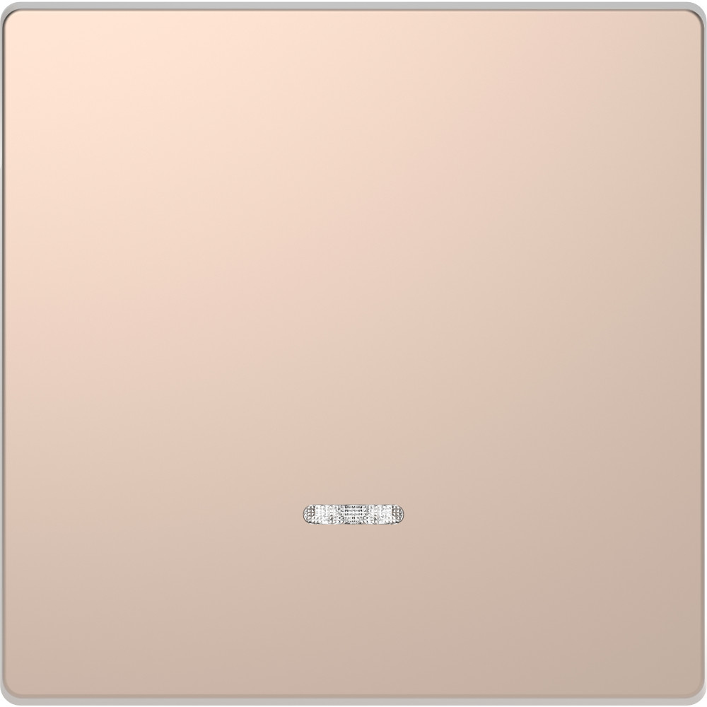 Schneider Electric Merten D-Life Шампань Клавиша 1-ая с линзой для LED модуля фото