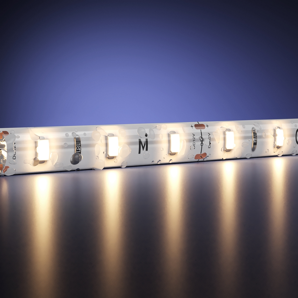 Maytoni Led Strip Светодиодная лента 201006 фото