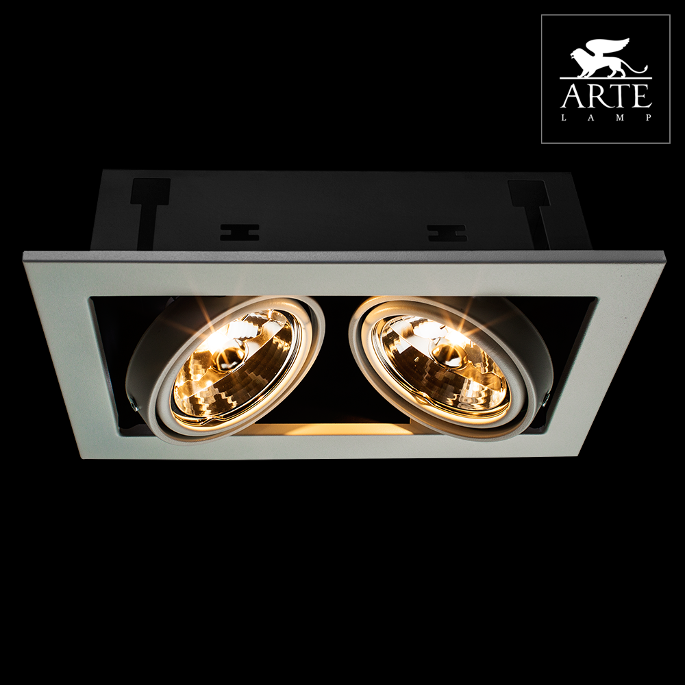 Arte Lamp Cardani Белый/Серый Светильник точечный встаиваемый 50W G5,3 2x500lm фото