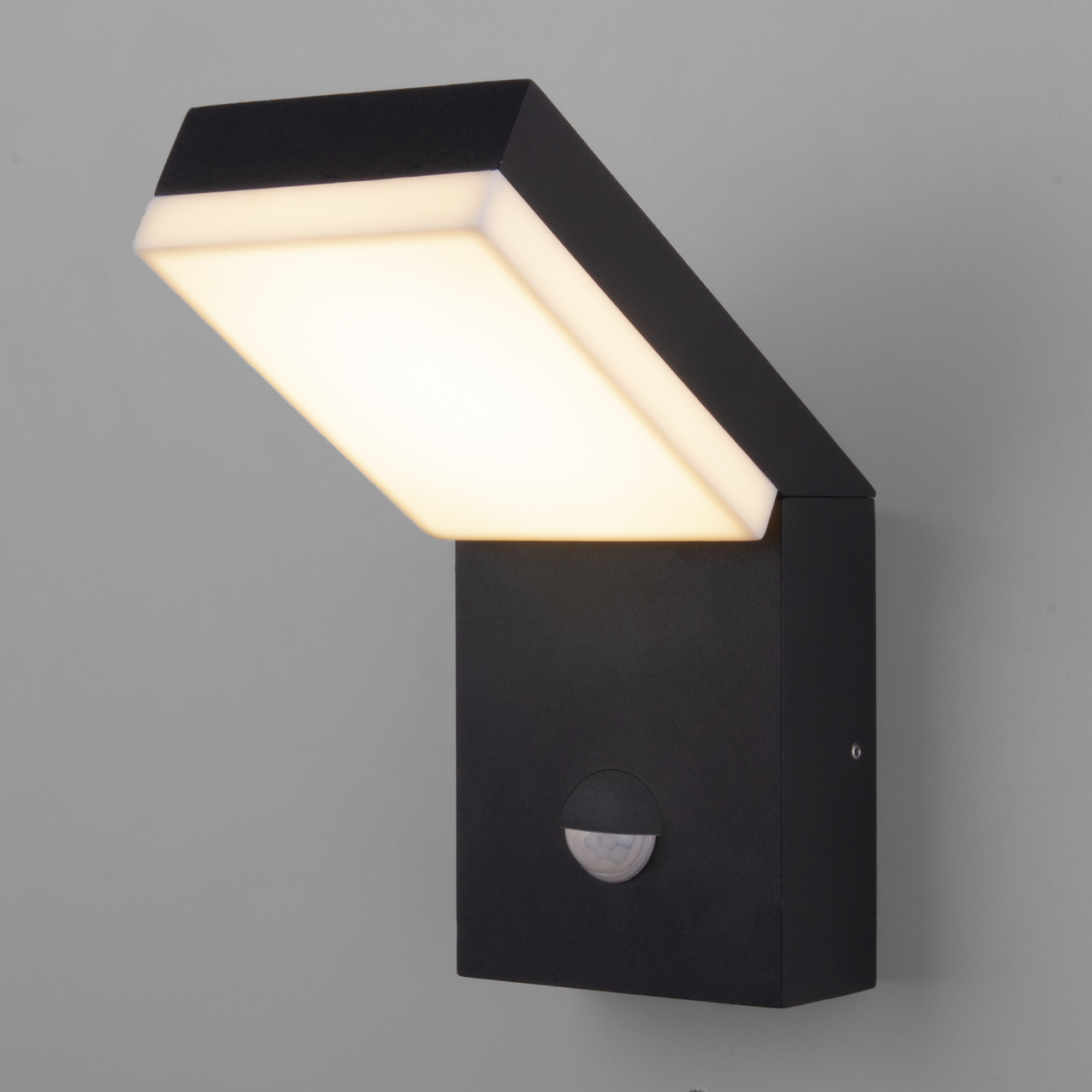 Elektrostandard 1541 TECHNO LED / Светильник садово-парковый со светодиодами с датчиком движения чёрный фото