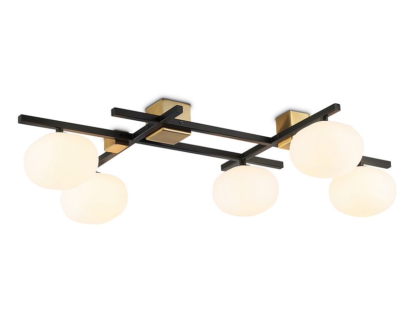 Ambrella Потолочный светильник LH51015/5 BK/BS/FR черный/латунь/белый матовый G9*5 max 28W 800*560*170 фото