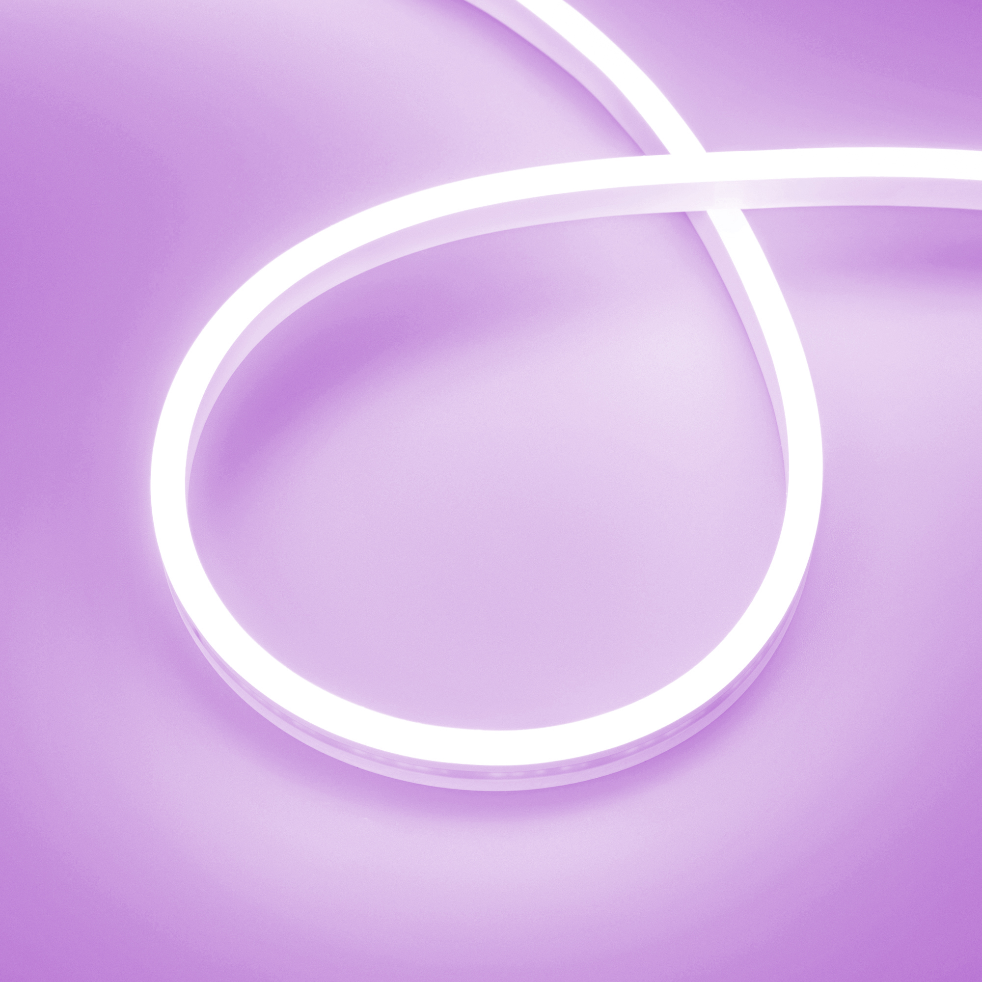 Arlight Лента герметичная AURORA-PS-A120-12x6mm 24V Purple (10 W/m, IP65, 2835, 5m) (-) фото