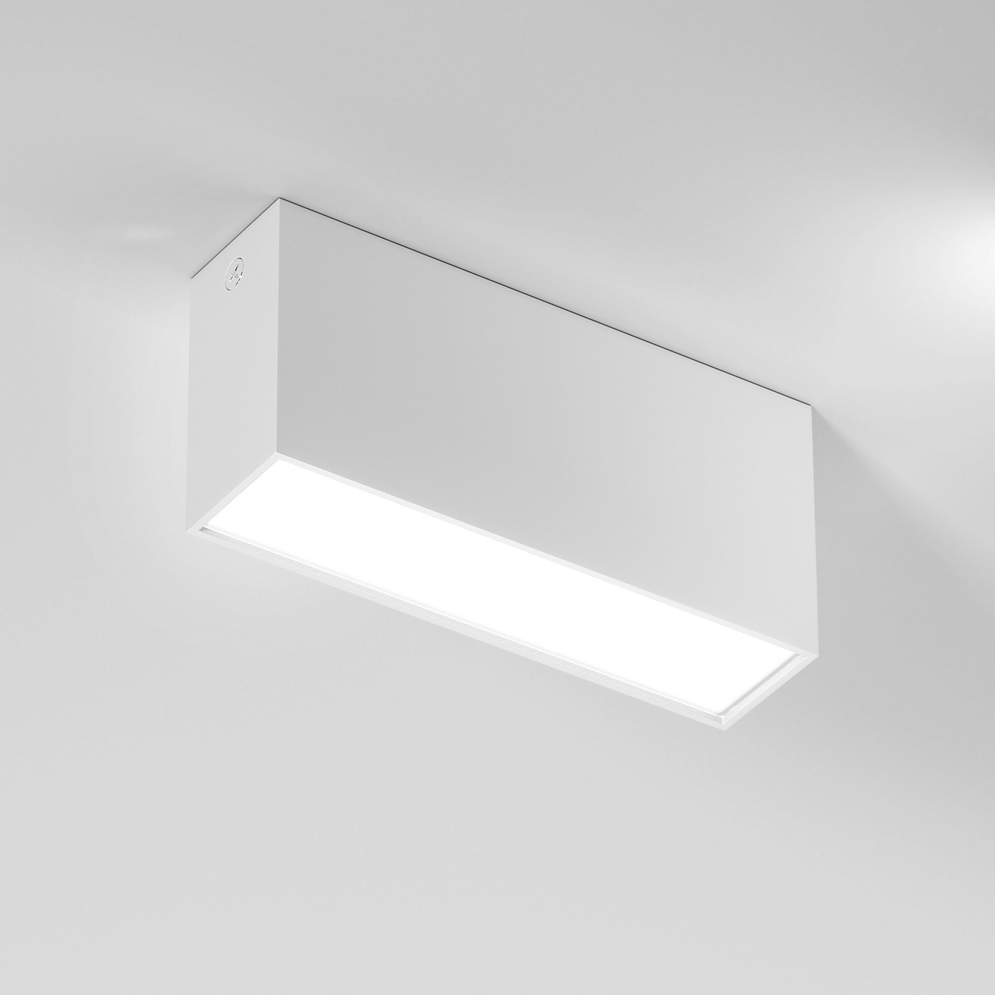 Elektrostandard 25109/LED 10W 4000K Светильник потолочный светодиодный белый фото