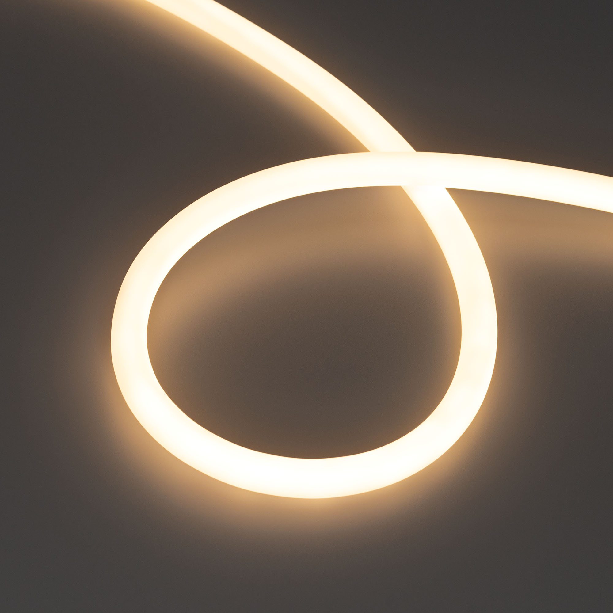 Arlight Лента герметичная MOONLIGHT-TOP-X560-D13mm 24V Warm3000 360deg (8.6 W/m, IP65, CSP, 5m, wire x1) (Прямой вывод кабеля) фото