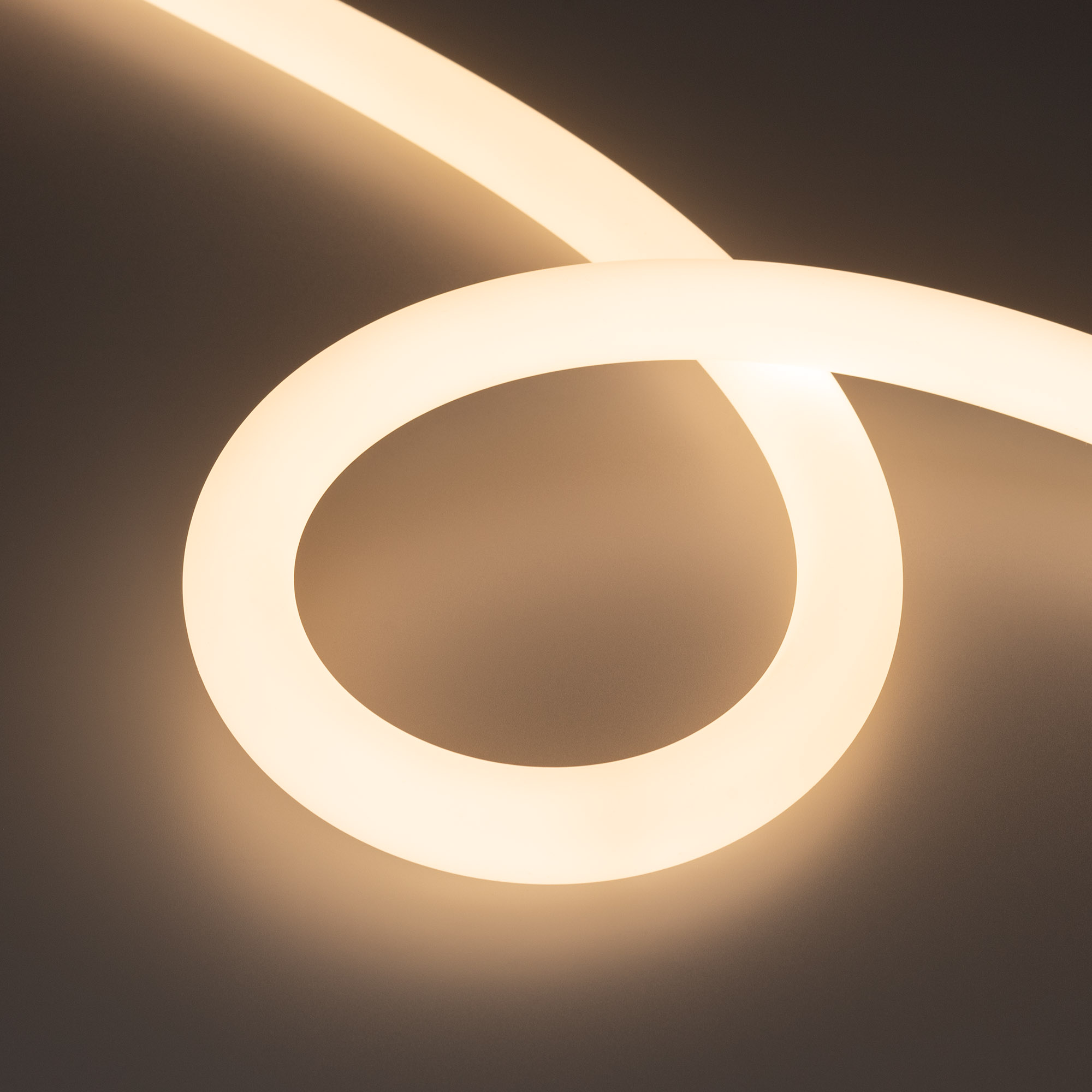 Arlight Лента герметичная MOONLIGHT-TOP-FP-A336-D25mm 24V Warm3000 (20 W/m, IP65, 2835, 5m, wire x1) (Прямой вывод кабеля) фото