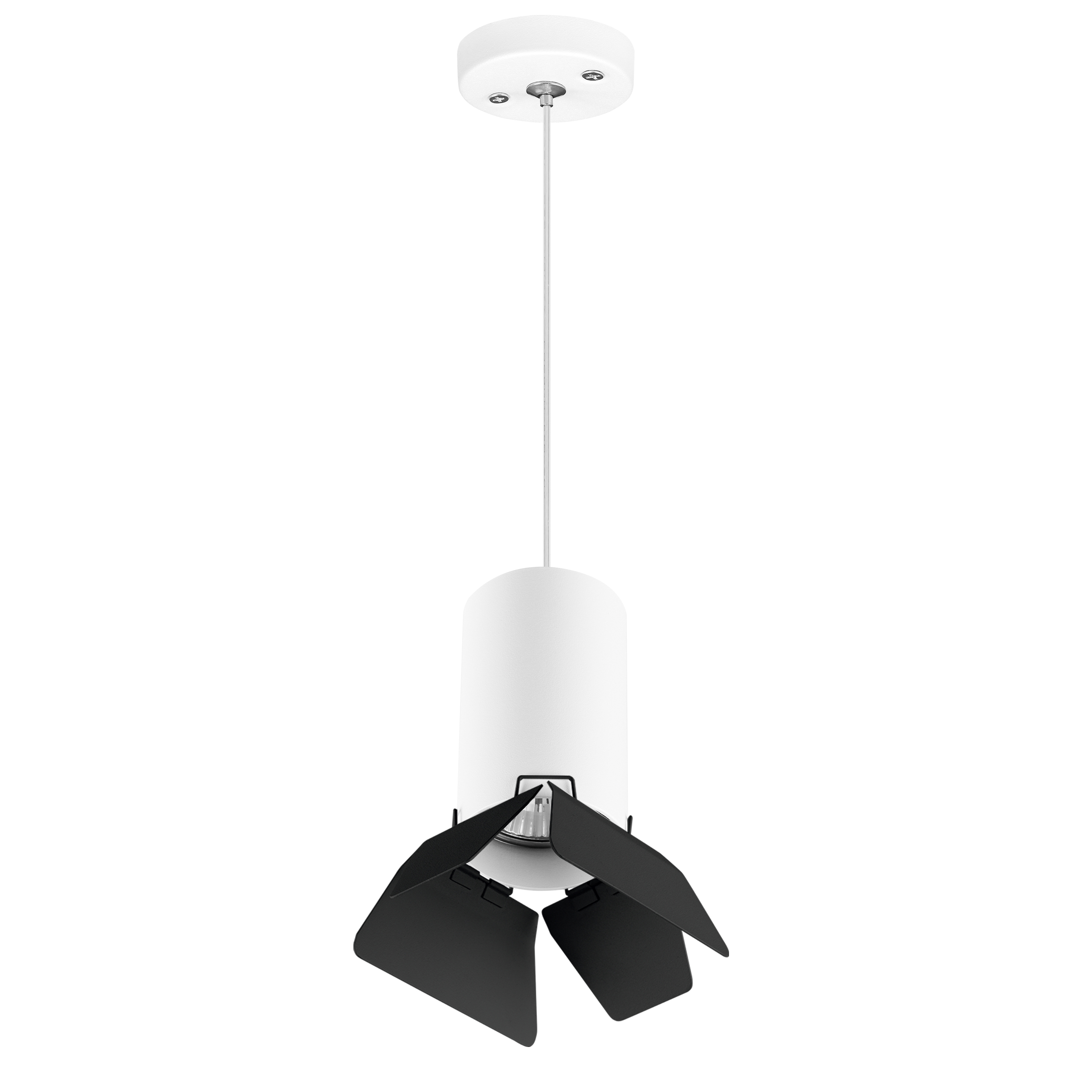 Lightstar Комплект со светильником Rullo Rullo Lightstar RP436437 фото
