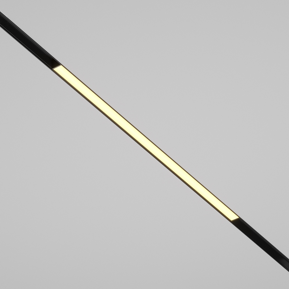 Maytoni Technical Трековый светильник TR030-2-24W2.7K-B фото
