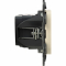 Розетка 2гн USB+USB с/у крем механизм Valena ALLURE legrand (1/5)