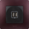 Розетка 2гн USB+USB с/у антрацит механизм Etika Legrand