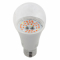 ЭРА FITO-14W-RB-E27